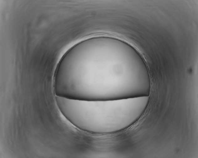 X0000090921535200707301043