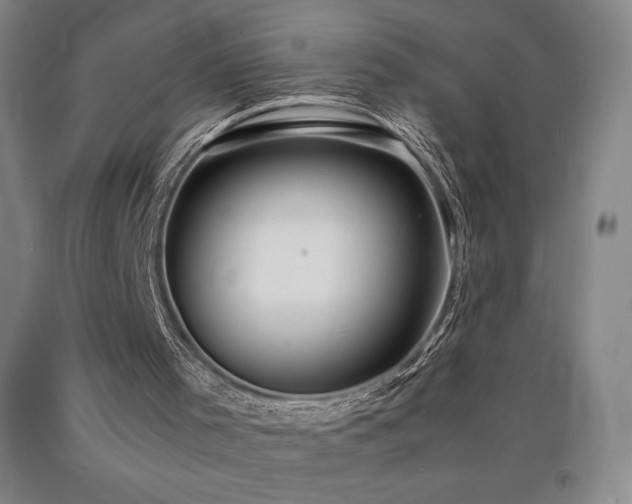 X0000090920001200707301542