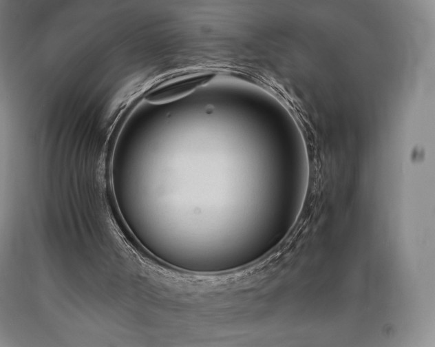 X0000090920002200707301542