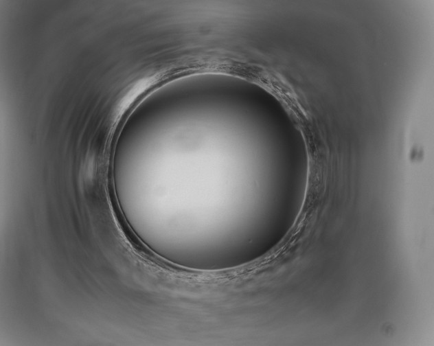X0000090920003200707301542