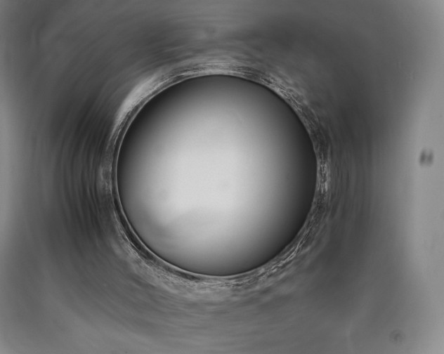 X0000090920004200707301542