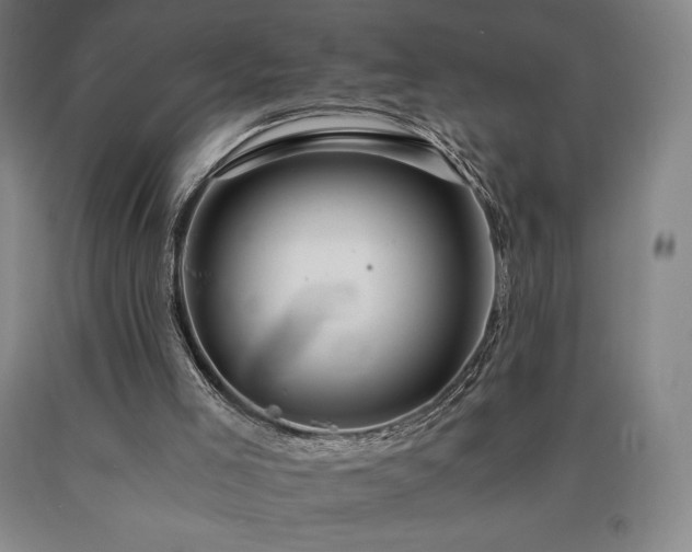 X0000090920005200707301542