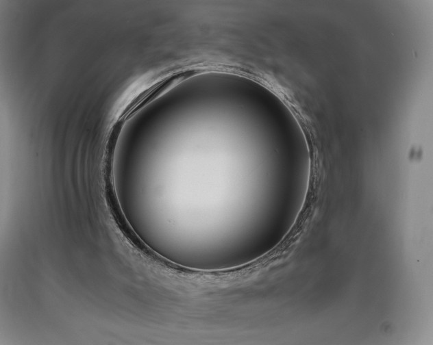 X0000090920007200707301542