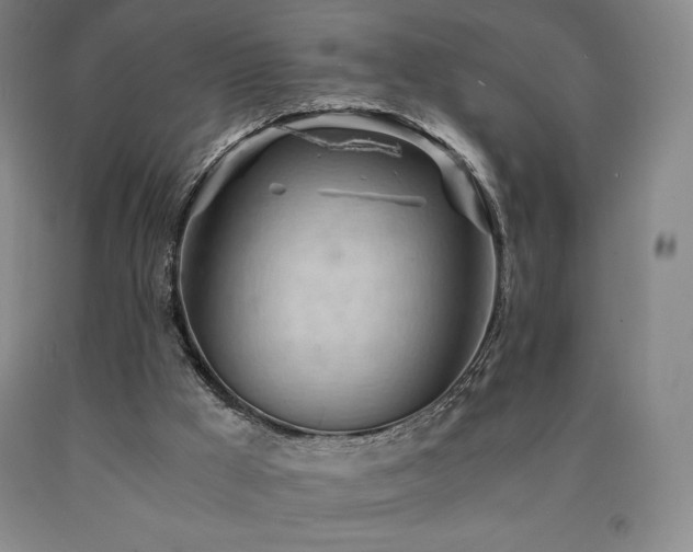 X0000090920009200707301542