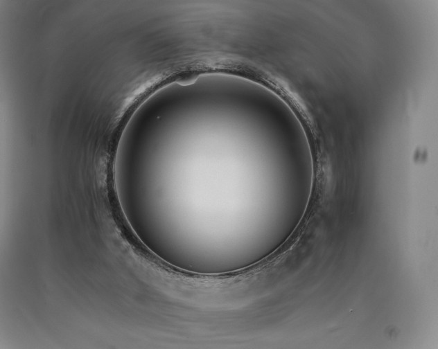 X0000090920010200707301542