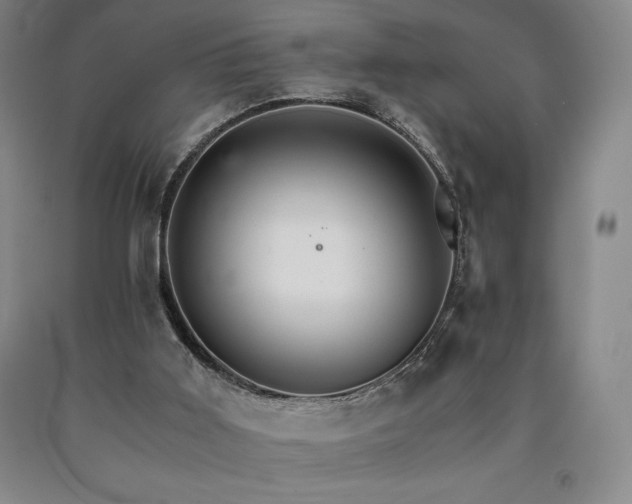 X0000090920011200707301542