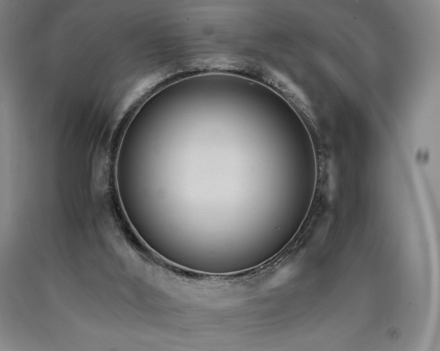 X0000090920012200707301542