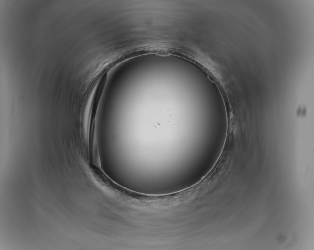X0000090920013200707301542
