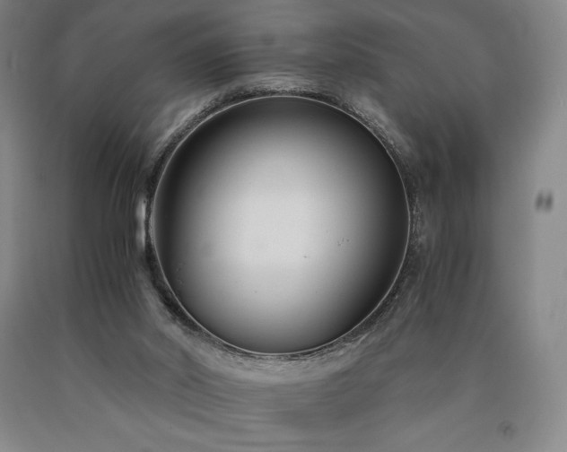 X0000090920014200707301542