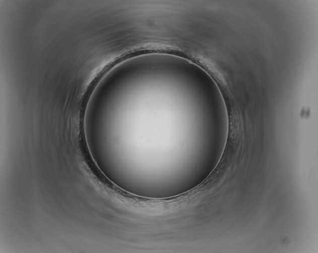 X0000090920015200707301542