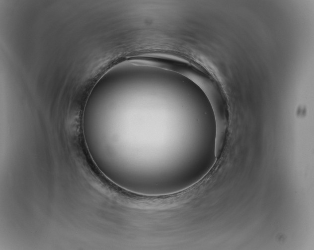 X0000090920017200707301542
