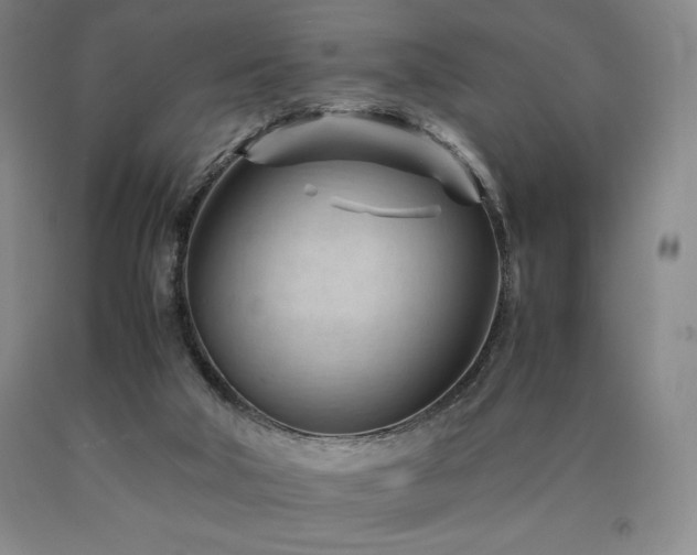 X0000090920018200707301542