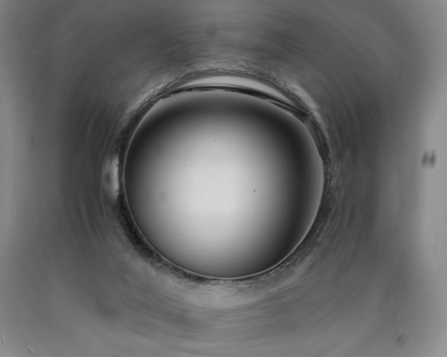 X0000090920020200707301542