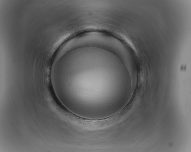 X0000090920023200707301542