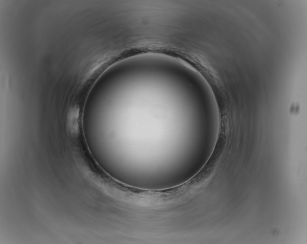 X0000090920024200707301542