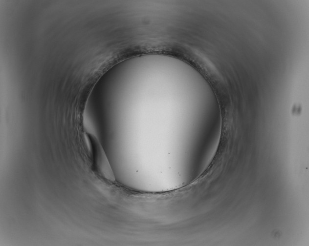 X0000090920025200707301542