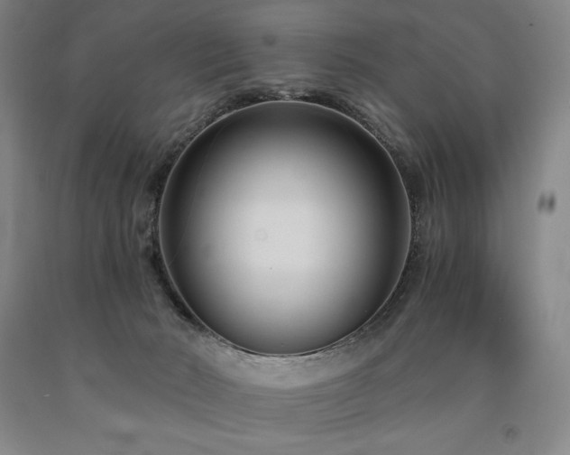 X0000090920030200707301542