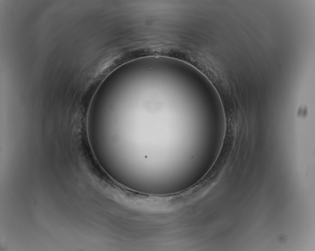 X0000090920032200707301542
