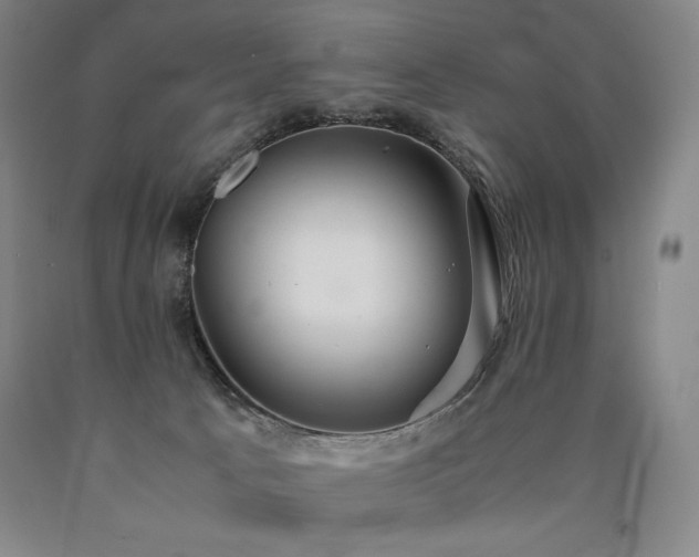 X0000090920033200707301542