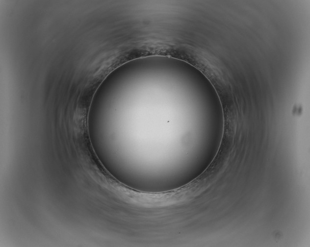 X0000090920034200707301542