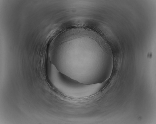 X0000090920035200707301542