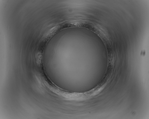 X0000090920036200707301542