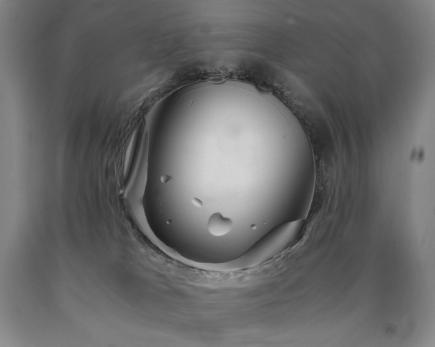 X0000090920037200707301542