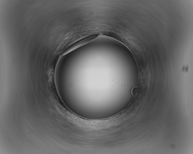 X0000090920038200707301542
