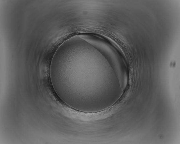 X0000090920039200707301542