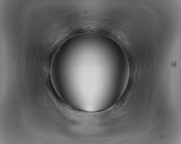 X0000090920040200707301542