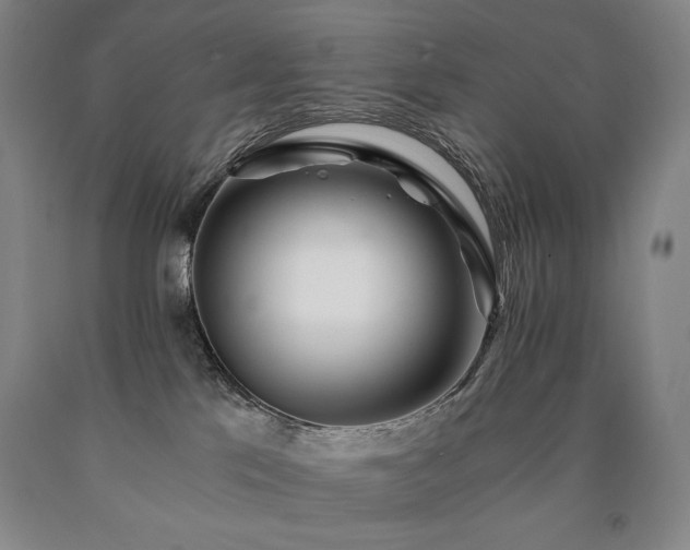 X0000090920041200707301542