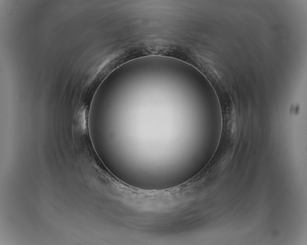 X0000090920042200707301542