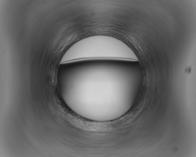 X0000090920044200707301542