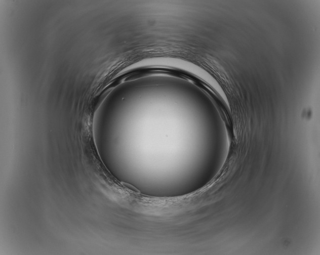 X0000090920045200707301542