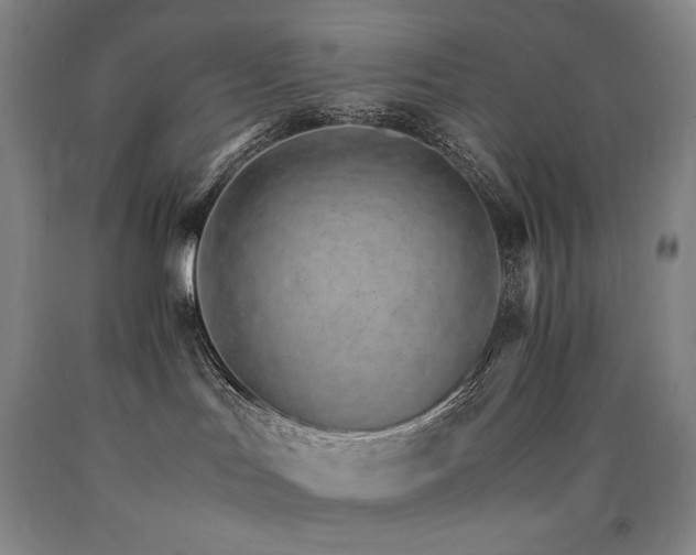 X0000090920047200707301542