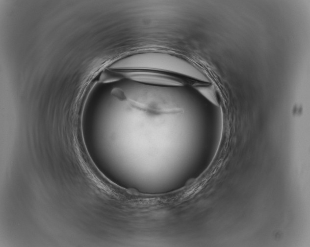 X0000090920049200707301541