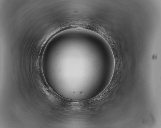 X0000090920050200707301541