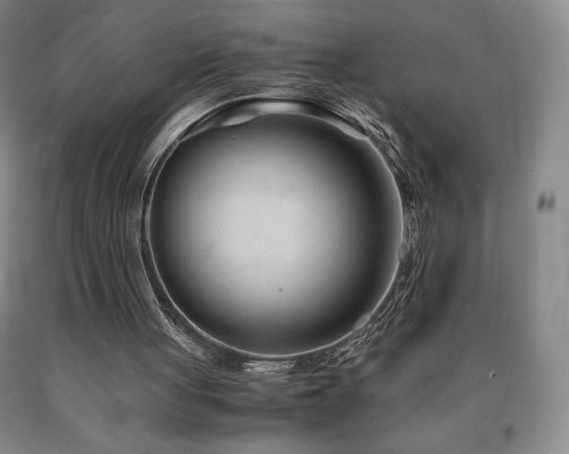 X0000090920051200707301541