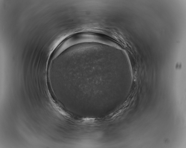 X0000090920052200707301541