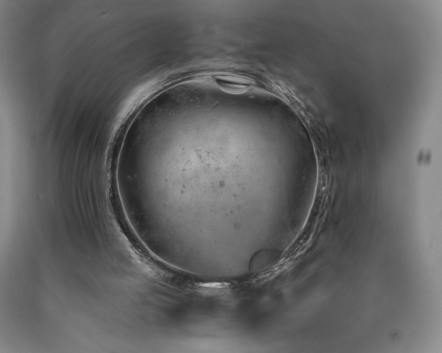 X0000090920053200707301541