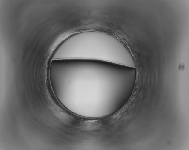 X0000090920054200707301541
