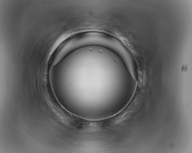 X0000090920056200707301541