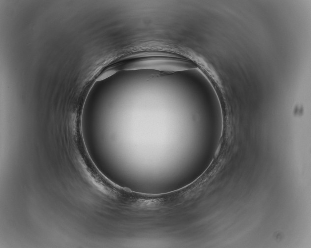X0000090920057200707301541