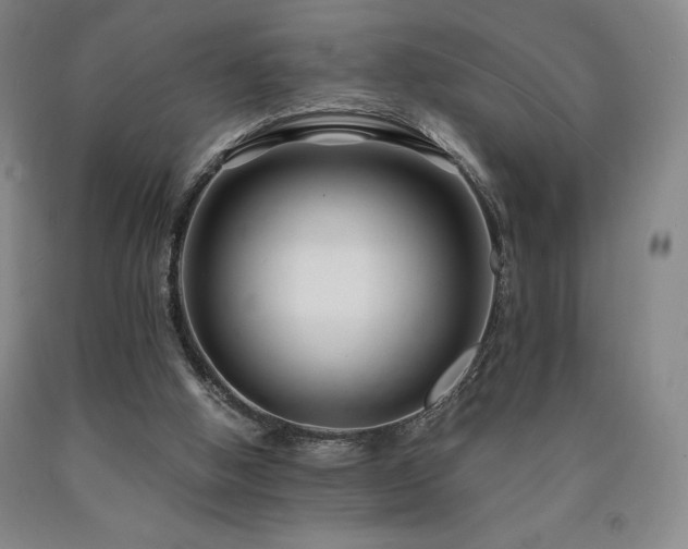 X0000090920058200707301541