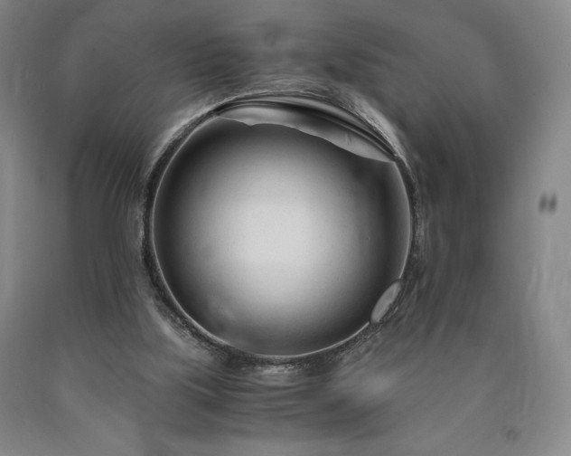 X0000090920059200707301541