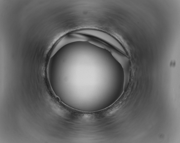 X0000090920060200707301541