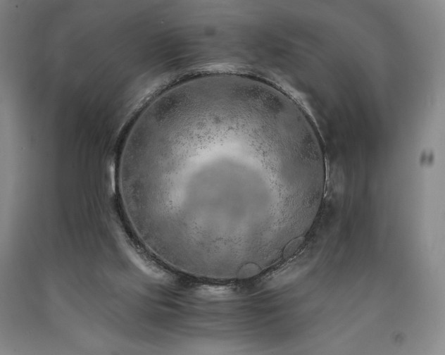 X0000090920061200707301541