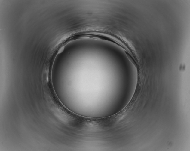 X0000090920062200707301541