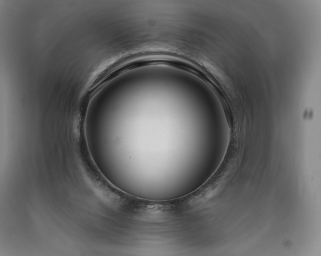 X0000090920064200707301541