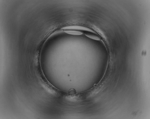 X0000090920065200707301541